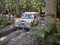 Grounded again